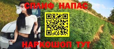 PSILOCYBIN Краснодар