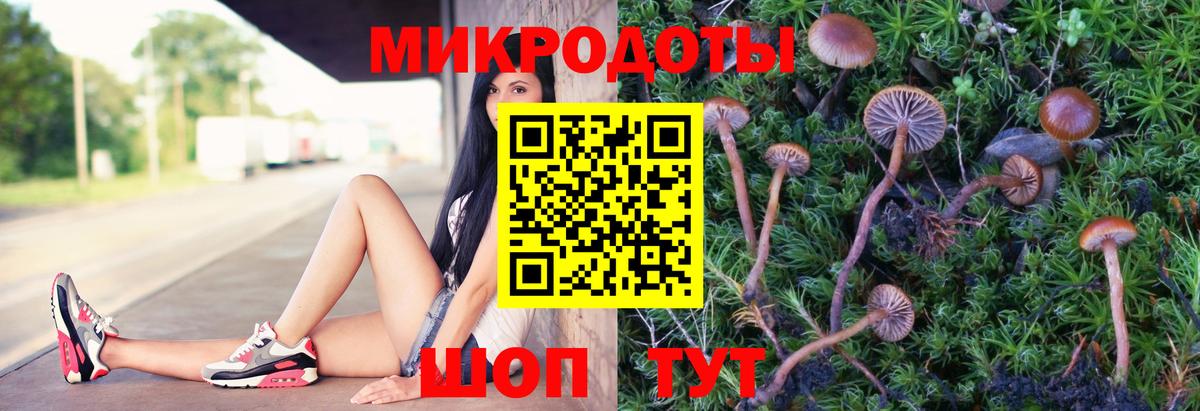 Галлюциногенные грибы Magic Shrooms  Вход с VPN  Буйнакск 