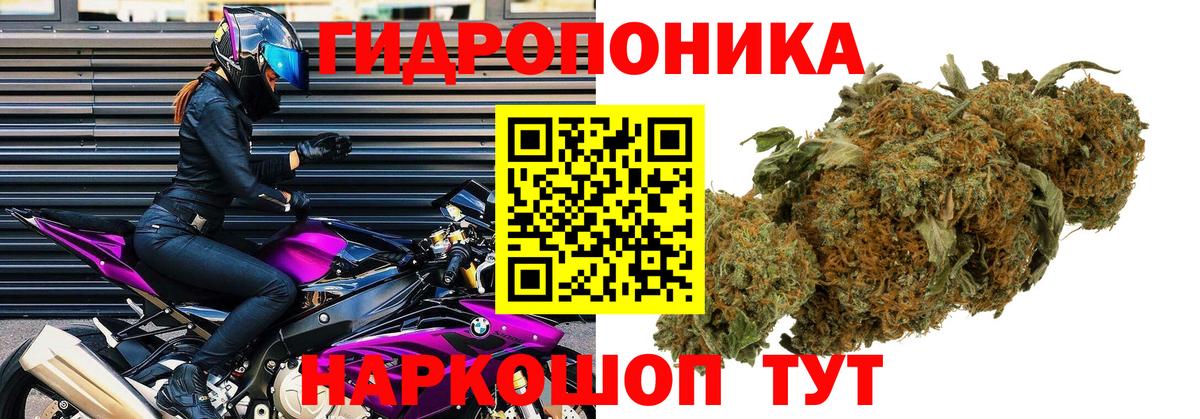 Каннабис Ganja  Бошки марихуана марихуана  Каннабис тримм  Буйнакск  Бошки марихуана THC 21%  Вход с VPN 